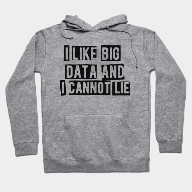 Data analyst - I like big data and cannot lie Hoodie by KC Happy Shop